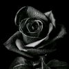 myrna_0313