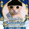 panggil_aja_ditt2
