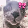 snazyaz_1