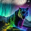 user8301007081265
