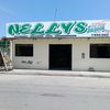 nely.leon.hilario