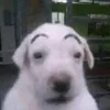 nick_hehehehehe