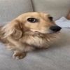 allen_o8