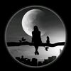 nournour9708