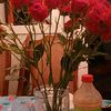 user41525035831150