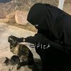 fa_al7.0
