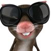 moethetkyal7