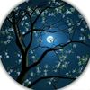 blue.moon933