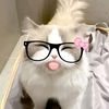 niunjionnyyyy