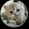 yein.khant.kyaw