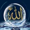 moznu.shelkh