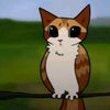 mr_toast19123221
