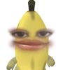 anisjaaf