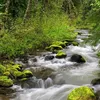 Nature of Climates