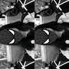 vivan.vivan16