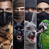 animals.robbers