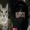 dikoyttg