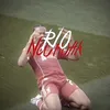 sp_ynwa