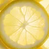 citroncircus