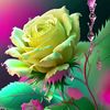 imran99572