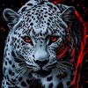 vollyballlover77