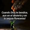 ardon.bonilla6
