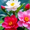 fatema_akter281
