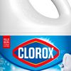 clorox1683