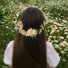 abeer.ahmed7912