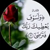 user3233902241335