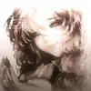 wren_237