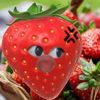 user112233_03
