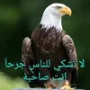 user16253018657994
