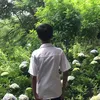 thanh.tm2682012