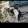 adeeb.ncem