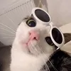 anysoares000