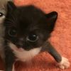 liku_liku7