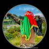 mahmad.3136