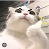 hieudubai240