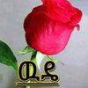 hafze46
