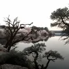 cengizhan_dergici