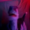 raptorguy1245