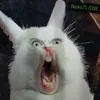 7om1skos_
