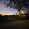 luna_lyndgaard0
