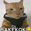 bakekokcuy