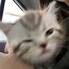 kesya_1901