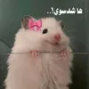 horui9