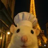 joycatouille