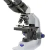 sebas95006