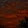 jaz23144
